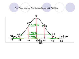 Pea Plant Normal Distribution Curve with Std Dev
 