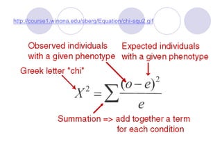 http://course1.winona.edu/sberg/Equation/chi-squ2.gif
 