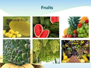Fruits
National Fruit
 