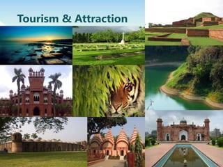 Tourism & Attraction
 