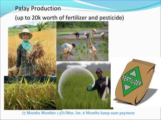 Palay Production
(up to 20k worth of fertilizer and pesticide)

(7 Months Member 1.5%/Mos. Int. 6 Months lump-sum payment

 