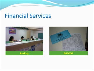 Financial Services

Banking

MICOOP

 