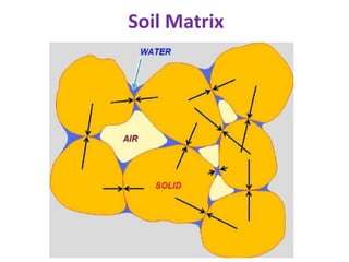 Soil Matrix Example Soil | PPTX