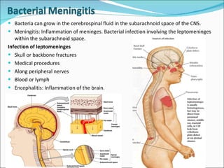 Bacteria can grow in the cerebrospinal fluid in the subarachnoid space of the CNS. Meningitis: Inflammation of meninges. Bacterial infection involving the leptomeninges within the subarachnoid space. Infection of leptomeninges  Skull or backbone fractures Medical procedures Along peripheral nerves Blood or lymph Encephalitis: Inflammation of the brain. 