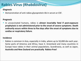 Diagnosis Demonstration of anti-rabies glycoprotein Ab in serum or CSF. Prognosis In unvaccinated humans, rabies is  almost invariably fatal if post-exposure prophylaxis is not administered prior to the onset of severe symptoms .  Death ordinarily occurs within three to five days after the onset of symptoms due to cardiac or respiratory failure .  Incidence Rabies is common in Asia, especially in India, where up to 50,000 die each year. Some parts of America and Africa, have it. Greenland and many countries in Europe have rabies in their animal populations. Scandinavia, as well as Japan,  Australia and New Zealand are practically  Rabies-Free! Rabies Virus (Rhabdovirus) 