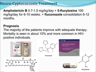 Neuro-Cyptococcosis-Treatment Amphotericin B  0.7-1.0 mg/kg/day +  5-flucytosine  100 mg/kg/day for 6-10 weeks. +  fluconozole  consolidation   6-12 months . Prognosis The majority of the patients improve with adequate therapy. Mortality is seen in about 10% and more common in HIV-positive individuals.  