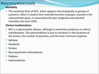 Morbidity The racemose form of NCC, which appears macroscopically as groups of cysticerci, often in clusters that resemble bunches of grapes, located in the subarachnoid space, is associated with poor prognosis and elevated mortality rate (over 20%).  Clinical manifestations NCC is a pleomorphic disease, although it sometimes produces no clinical manifestation. This pleomorphism is due to variations in the locations of the lesions, the number of parasites, and the host's immune response. Epilepsy Headache Strokes  Neuropsychiatric disturbances Diplopia Hydrocephalus Neurocysticercosis 