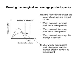 Drawing the marginal and average product curves

                        Note the relationship between the
                          marginal and average product
                          curves:
                        
                            When marginal > average
                            product the average rises
                        
                            When marginal < average
                            product the average falls
                        
                            When marginal = average the
                            average is constant


                        In other words, the marginal
                           product curve crosses the
                           average product curve at its
                           highest point.
 