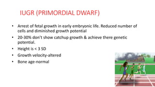 IUGR (PRIMORDIAL DWARF)
• Arrest of fetal growth in early embryonic life. Reduced number of
cells and diminished growth potential
• 20-30% don’t show catchup growth & achieve there genetic
potential.
• Height is < 3 SD
• Growth velocity-altered
• Bone age-normal
 