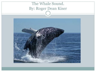 The Whale Sound.
By: Roger Dean Kiser
 