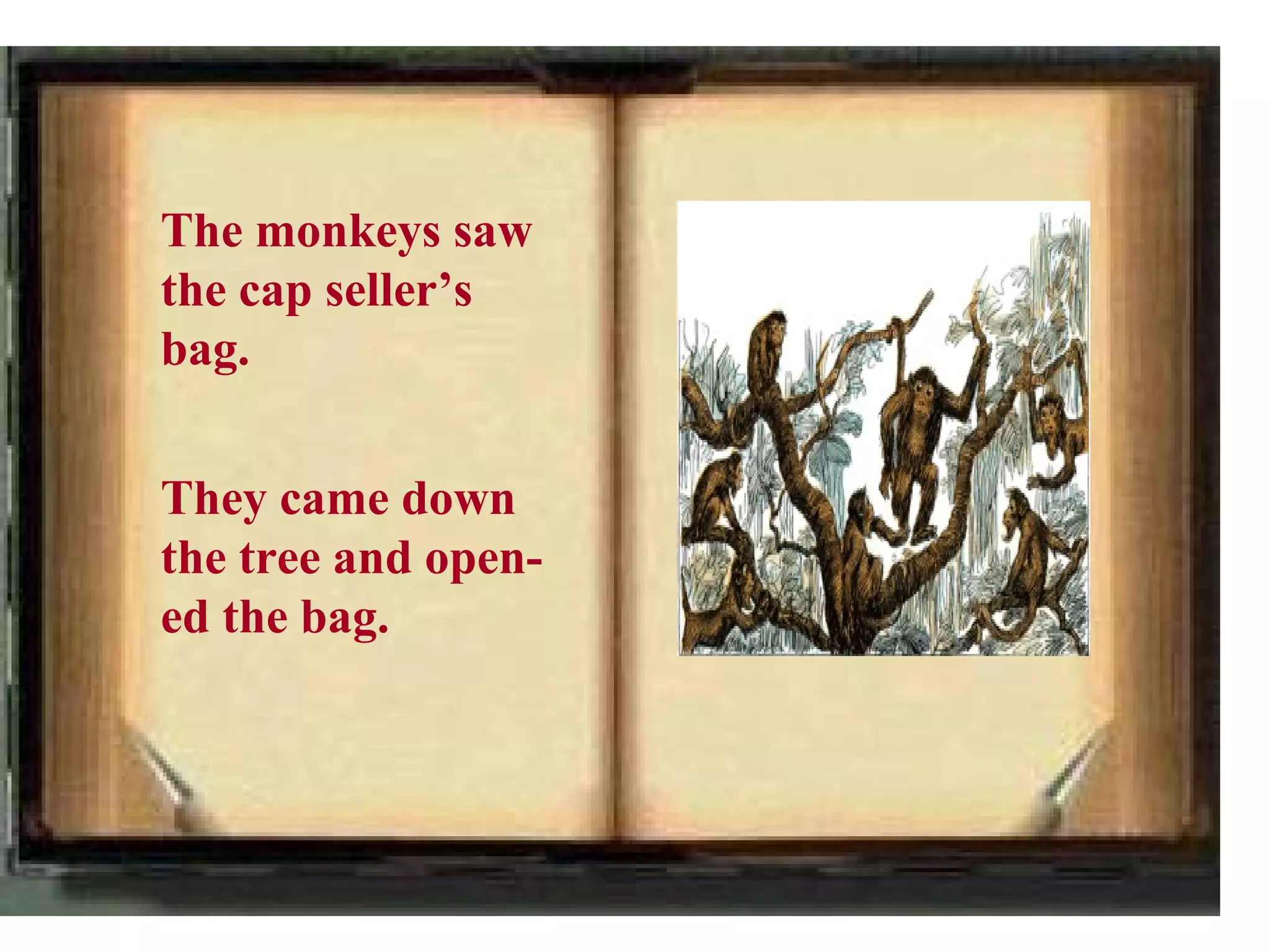 The monkeys saw
the cap seller’s
bag.


They came down
the tree and open-
ed the bag.
 