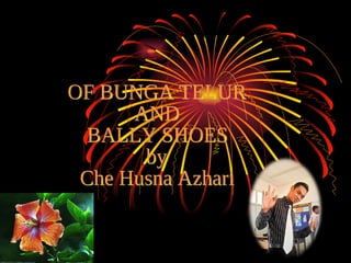 OF BUNGA TELUR  AND  BALLY SHOES  by Che Husna Azhari  