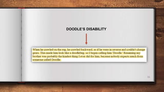 16
DOODLE’S DISABILITY
 