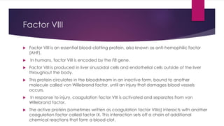 Factor VIII
 Factor VIII is an essential blood-clotting protein, also known as anti-hemophilic factor
(AHF).
 In humans, factor VIII is encoded by the F8 gene.
 Factor VIII is produced in liver sinusoidal cells and endothelial cells outside of the liver
throughout the body.
 This protein circulates in the bloodstream in an inactive form, bound to another
molecule called von Willebrand factor, until an injury that damages blood vessels
occurs.
 In response to injury, coagulation factor VIII is activated and separates from von
Willebrand factor.
 The active protein (sometimes written as coagulation factor VIIIa) interacts with another
coagulation factor called factor IX. This interaction sets off a chain of additional
chemical reactions that form a blood clot.
 
