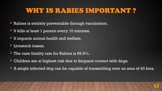 A Short talk on World Rabies day 2024 theme | PPTX