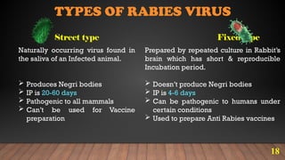 A Short talk on World Rabies day 2024 theme | PPTX