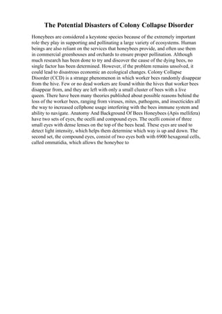 The Potential Disasters of Colony Collapse Disorder
Honeybees are considered a keystone species because of the extremely important
role they play in supporting and pollinating a large variety of ecosystems. Human
beings are also reliant on the services that honeybees provide, and often use them
in commercial greenhouses and orchards to ensure proper pollination. Although
much research has been done to try and discover the cause of the dying bees, no
single factor has been determined. However, if the problem remains unsolved, it
could lead to disastrous economic an ecological changes. Colony Collapse
Disorder (CCD) is a strange phenomenon in which worker bees randomly disappear
from the hive. Few or no dead workers are found within the hives that worker bees
disappear from, and they are left with only a small cluster of bees with a live
queen. There have been many theories published about possible reasons behind the
loss of the worker bees, ranging from viruses, mites, pathogens, and insecticides all
the way to increased cellphone usage interfering with the bees immune system and
ability to navigate. Anatomy And Background Of Bees Honeybees (Apis mellifera)
have two sets of eyes, the ocelli and compound eyes. The ocelli consist of three
small eyes with dense lenses on the top of the bees head. These eyes are used to
detect light intensity, which helps them determine which way is up and down. The
second set, the compound eyes, consist of two eyes both with 6900 hexagonal cells,
called ommatidia, which allows the honeybee to
 
