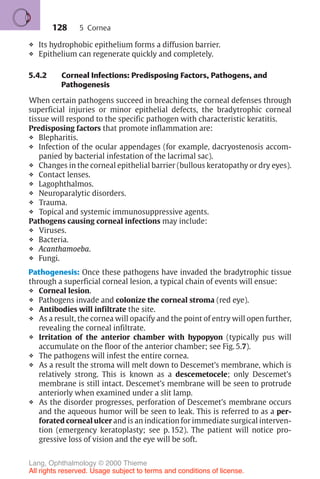 128
❖ Its hydrophobic epithelium forms a diffusion barrier.
❖ Epithelium can regenerate quickly and completely.
5.4.2 Corneal Infections: Predisposing Factors, Pathogens, and
Pathogenesis
When certain pathogens succeed in breaching the corneal defenses through
superficial injuries or minor epithelial defects, the bradytrophic corneal
tissue will respond to the specific pathogen with characteristic keratitis.
Predisposing factors that promote inflammation are:
❖ Blepharitis.
❖ Infection of the ocular appendages (for example, dacryostenosis accom-
panied by bacterial infestation of the lacrimal sac).
❖ Changes in the corneal epithelial barrier (bullous keratopathy or dry eyes).
❖ Contact lenses.
❖ Lagophthalmos.
❖ Neuroparalytic disorders.
❖ Trauma.
❖ Topical and systemic immunosuppressive agents.
Pathogens causing corneal infections may include:
❖ Viruses.
❖ Bacteria.
❖ Acanthamoeba.
❖ Fungi.
Pathogenesis: Once these pathogens have invaded the bradytrophic tissue
through a superficial corneal lesion, a typical chain of events will ensue:
❖ Corneal lesion.
❖ Pathogens invade and colonize the corneal stroma (red eye).
❖ Antibodies will infiltrate the site.
❖ As a result, the cornea will opacify and the point of entry will open further,
revealing the corneal infiltrate.
❖ Irritation of the anterior chamber with hypopyon (typically pus will
accumulate on the floor of the anterior chamber; see Fig. 5.7).
❖ The pathogens will infest the entire cornea.
❖ As a result the stroma will melt down to Descemet’s membrane, which is
relatively strong. This is known as a descemetocele; only Descemet’s
membrane is still intact. Descemet’s membrane will be seen to protrude
anteriorly when examined under a slit lamp.
❖ As the disorder progresses, perforation of Descemet’s membrane occurs
and the aqueous humor will be seen to leak. This is referred to as a per-
forated corneal ulcer and is an indication for immediate surgical interven-
tion (emergency keratoplasty; see p. 152). The patient will notice pro-
gressive loss of vision and the eye will be soft.
5 Cornea
Lang, Ophthalmology © 2000 Thieme
All rights reserved. Usage subject to terms and conditions of license.
 