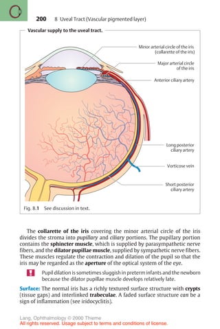 200
Vascular supply to the uveal tract.
Minor arterial circle of the iris
(collarette of the iris)
Major arterial circle
of the iris
Anterior ciliary artery
Vorticose vein
Long posterior
ciliary artery
Short posterior
ciliary artery
Fig. 8.1 See discussion in text.
The collarette of the iris covering the minor arterial circle of the iris
divides the stroma into pupillary and ciliary portions. The pupillary portion
contains the sphincter muscle, which is supplied by parasympathetic nerve
fibers, and the dilator pupillae muscle, supplied by sympathetic nerve fibers.
These muscles regulate the contraction and dilation of the pupil so that the
iris may be regarded as the aperture of the optical system of the eye.
Pupil dilation is sometimes sluggish in preterm infants and the newborn
because the dilator pupillae muscle develops relatively late.
Surface: The normal iris has a richly textured surface structure with crypts
(tissue gaps) and interlinked trabeculae. A faded surface structure can be a
sign of inflammation (see iridocyclitis).
8 Uveal Tract (Vascular pigmented layer)
Lang, Ophthalmology © 2000 Thieme
All rights reserved. Usage subject to terms and conditions of license.
 