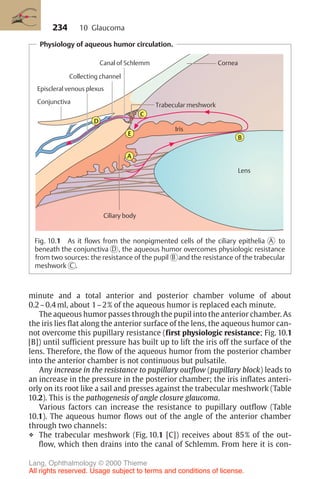 234
Physiology of aqueous humor circulation.
A
E
D
C
B
Ciliary body
Lens
Iris
Cornea
Canal of Schlemm
Trabecular meshwork
Collecting channel
Conjunctiva
Episcleral venous plexus
Fig. 10.1 As it flows from the nonpigmented cells of the ciliary epithelia A to
beneath the conjunctiva D , the aqueous humor overcomes physiologic resistance
from two sources: the resistance of the pupil B and the resistance of the trabecular
meshwork C .
minute and a total anterior and posterior chamber volume of about
0.2–0.4 ml, about 1–2% of the aqueous humor is replaced each minute.
The aqueous humor passes through the pupil into the anterior chamber. As
the iris lies flat along the anterior surface of the lens, the aqueous humor can-
not overcome this pupillary resistance (first physiologic resistance; Fig. 10.1
[B]) until sufficient pressure has built up to lift the iris off the surface of the
lens. Therefore, the flow of the aqueous humor from the posterior chamber
into the anterior chamber is not continuous but pulsatile.
Any increase in the resistance to pupillary outflow (pupillary block) leads to
an increase in the pressure in the posterior chamber; the iris inflates anteri-
orly on its root like a sail and presses against the trabecular meshwork (Table
10.2). This is the pathogenesis of angle closure glaucoma.
Various factors can increase the resistance to pupillary outflow (Table
10.1). The aqueous humor flows out of the angle of the anterior chamber
through two channels:
❖ The trabecular meshwork (Fig. 10.1 [C]) receives about 85% of the out-
flow, which then drains into the canal of Schlemm. From here it is con-
10 Glaucoma
Lang, Ophthalmology © 2000 Thieme
All rights reserved. Usage subject to terms and conditions of license.
 