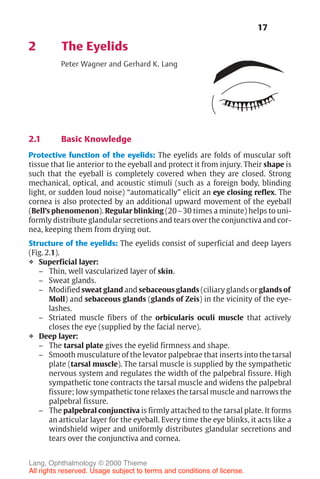 17
2 The Eyelids
Peter Wagner and Gerhard K. Lang
2.1 Basic Knowledge
Protective function of the eyelids: The eyelids are folds of muscular soft
tissue that lie anterior to the eyeball and protect it from injury. Their shape is
such that the eyeball is completely covered when they are closed. Strong
mechanical, optical, and acoustic stimuli (such as a foreign body, blinding
light, or sudden loud noise) “automatically” elicit an eye closing reflex. The
cornea is also protected by an additional upward movement of the eyeball
(Bell’s phenomenon). Regular blinking (20–30 times a minute) helps to uni-
formly distribute glandular secretions and tears over the conjunctiva and cor-
nea, keeping them from drying out.
Structure of the eyelids: The eyelids consist of superficial and deep layers
(Fig. 2.1).
❖ Superficial layer:
– Thin, well vascularized layer of skin.
– Sweat glands.
– Modified sweat gland and sebaceous glands (ciliary glands or glands of
Moll) and sebaceous glands (glands of Zeis) in the vicinity of the eye-
lashes.
– Striated muscle fibers of the orbicularis oculi muscle that actively
closes the eye (supplied by the facial nerve).
❖ Deep layer:
– The tarsal plate gives the eyelid firmness and shape.
– Smooth musculature of the levator palpebrae that inserts into the tarsal
plate (tarsal muscle). The tarsal muscle is supplied by the sympathetic
nervous system and regulates the width of the palpebral fissure. High
sympathetic tone contracts the tarsal muscle and widens the palpebral
fissure; low sympathetic tone relaxes the tarsal muscle and narrows the
palpebral fissure.
– The palpebral conjunctiva is firmly attached to the tarsal plate. It forms
an articular layer for the eyeball. Every time the eye blinks, it acts like a
windshield wiper and uniformly distributes glandular secretions and
tears over the conjunctiva and cornea.
Lang, Ophthalmology © 2000 Thieme
All rights reserved. Usage subject to terms and conditions of license.
 