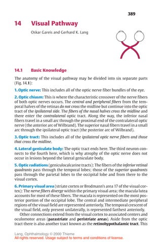 389
14 Visual Pathway
Oskar Gareis and Gerhard K. Lang
14.1 Basic Knowledge
The anatomy of the visual pathway may be divided into six separate parts
(Fig. 14.1):
1. Optic nerve: This includes all of the optic nerve fiber bundles of the eye.
2. Optic chiasm: This is where the characteristic crossover of the nerve fibers
of both optic nerves occurs. The central and peripheral fibers from the tem-
poral halves of the retinas do not cross the midline but continue into the optic
tract of the ipsilateral side. The fibers of the nasal halves cross the midline and
there enter the contralateral optic tract. Along the way, the inferior nasal
fibers travel in a small arc through the proximal end of the contralateral optic
nerve (the anterior arc of Wilbrand). The superior nasal fibers travel in a small
arc through the ipsilateral optic tract (the posterior arc of Wilbrand).
3. Optic tract: This includes all of the ipsilateral optic nerve fibers and those
that cross the midline.
4. Lateral geniculate body: The optic tract ends here. The third neuron con-
nects to the fourth here, which is why atrophy of the optic nerve does not
occur in lesions beyond the lateral geniculate body.
5. Optic radiations (geniculocalcarine tracts): The fibers of the inferior retinal
quadrants pass through the temporal lobes; those of the superior quadrants
pass through the parietal lobes to the occipital lobe and from there to the
visual cortex.
6. Primary visual area (striate cortex or Brodmann’s area 17 of the visual cor-
tex): The nerve fibers diverge within the primary visual area; the macula lutea
accounts for most of these fibers. The macula is represented on the most pos-
terior portion of the occipital lobe. The central and intermediate peripheral
regions of the visual field are represented anteriorly. The temporal crescent of
the visual field, only present unilaterally, is represented farthest anteriorly.
Other connections extend from the visual cortex to associated centers and
oculomotor areas (parastriate and peristriate areas). Aside from the optic
tract there is also another tract known as the retinohypothalamic tract. This
Lang, Ophthalmology © 2000 Thieme
All rights reserved. Usage subject to terms and conditions of license.
 