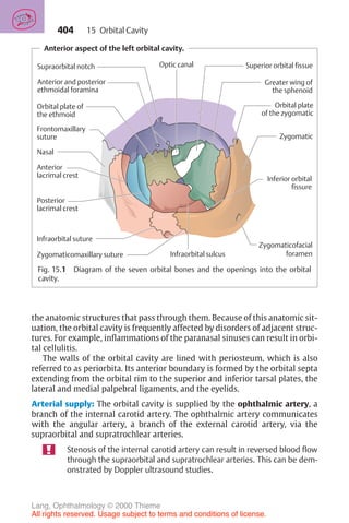 404
Anterior aspect of the left orbital cavity.
Anterior and posterior
ethmoidal foramina
Supraorbital notch
Orbital plate of
the ethmoid
Frontomaxillary
suture
Nasal
Anterior
lacrimal crest
Posterior
lacrimal crest
Infraorbital suture
Zygomaticomaxillary suture Infraorbital sulcus
Inferior orbital
fissure
Zygomaticofacial
foramen
Orbital plate
of the zygomatic
Zygomatic
Greater wing of
the sphenoid
Superior orbital fissue
Optic canal
Fig. 15.1 Diagram of the seven orbital bones and the openings into the orbital
cavity.
the anatomic structures that pass through them. Because of this anatomic sit-
uation, the orbital cavity is frequently affected by disorders of adjacent struc-
tures. For example, inflammations of the paranasal sinuses can result in orbi-
tal cellulitis.
The walls of the orbital cavity are lined with periosteum, which is also
referred to as periorbita. Its anterior boundary is formed by the orbital septa
extending from the orbital rim to the superior and inferior tarsal plates, the
lateral and medial palpebral ligaments, and the eyelids.
Arterial supply: The orbital cavity is supplied by the ophthalmic artery, a
branch of the internal carotid artery. The ophthalmic artery communicates
with the angular artery, a branch of the external carotid artery, via the
supraorbital and supratrochlear arteries.
Stenosis of the internal carotid artery can result in reversed blood flow
through the supraorbital and supratrochlear arteries. This can be dem-
onstrated by Doppler ultrasound studies.
15 Orbital Cavity
Lang, Ophthalmology © 2000 Thieme
All rights reserved. Usage subject to terms and conditions of license.
 