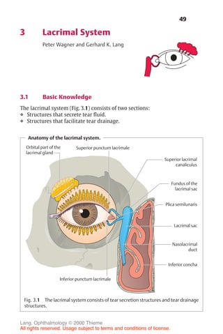 49
3 Lacrimal System
Peter Wagner and Gerhard K. Lang
3.1 Basic Knowledge
The lacrimal system (Fig. 3.1) consists of two sections:
❖ Structures that secrete tear fluid.
❖ Structures that facilitate tear drainage.
Anatomy of the lacrimal system.
Orbital part of the
lacrimal gland
Plica semilunaris
Superior punctum lacrimale
Lacrimal sac
Nasolacrimal
duct
Superior lacrimal
canaliculus
Inferior concha
Fundus of the
lacrimal sac
Inferior punctum lacrimale
Fig. 3.1 The lacrimal system consists of tear secretion structures and tear drainage
structures.
Lang, Ophthalmology © 2000 Thieme
All rights reserved. Usage subject to terms and conditions of license.
 