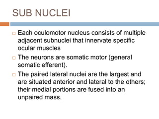 SUB NUCLEI
 Each oculomotor nucleus consists of multiple
adjacent subnuclei that innervate specific
ocular muscles
 The neurons are somatic motor (general
somatic efferent).
 The paired lateral nuclei are the largest and
are situated anterior and lateral to the others;
their medial portions are fused into an
unpaired mass.
 