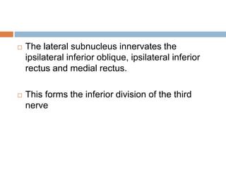  The lateral subnucleus innervates the
ipsilateral inferior oblique, ipsilateral inferior
rectus and medial rectus.
 This forms the inferior division of the third
nerve
 