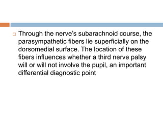 Through the nerve’s subarachnoid course, the
parasympathetic fibers lie superficially on the
dorsomedial surface. The location of these
fibers influences whether a third nerve palsy
will or will not involve the pupil, an important
differential diagnostic point
 