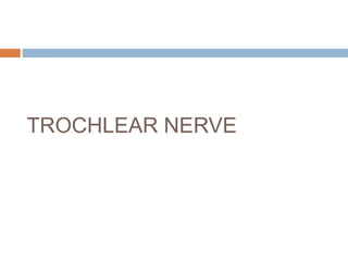 TROCHLEAR NERVE
 