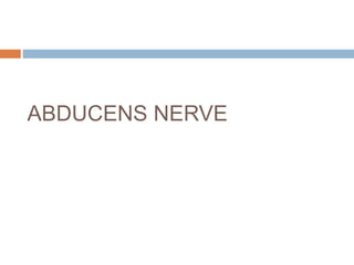 ABDUCENS NERVE
 