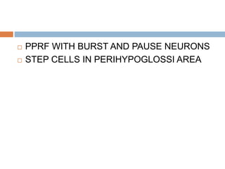  PPRF WITH BURST AND PAUSE NEURONS
 STEP CELLS IN PERIHYPOGLOSSI AREA
 