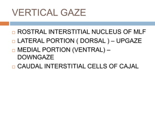 VERTICAL GAZE
 ROSTRAL INTERSTITIAL NUCLEUS OF MLF
 LATERAL PORTION ( DORSAL ) – UPGAZE
 MEDIAL PORTION (VENTRAL) –
DOWNGAZE
 CAUDAL INTERSTITIAL CELLS OF CAJAL
 