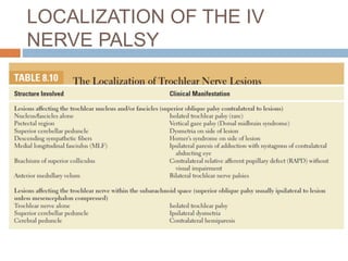 LOCALIZATION OF THE IV
NERVE PALSY
 