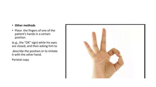 Ok Sign Strength Examination of Posterior Column of Spinal Cord - Sensory Examination | PPTX