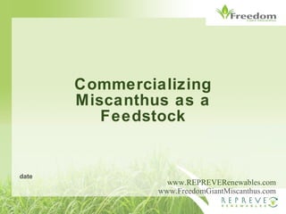 Commercializing Miscanthus as a Feedstock www.REPREVERenewables.com www.FreedomGiantMiscanthus.com date 