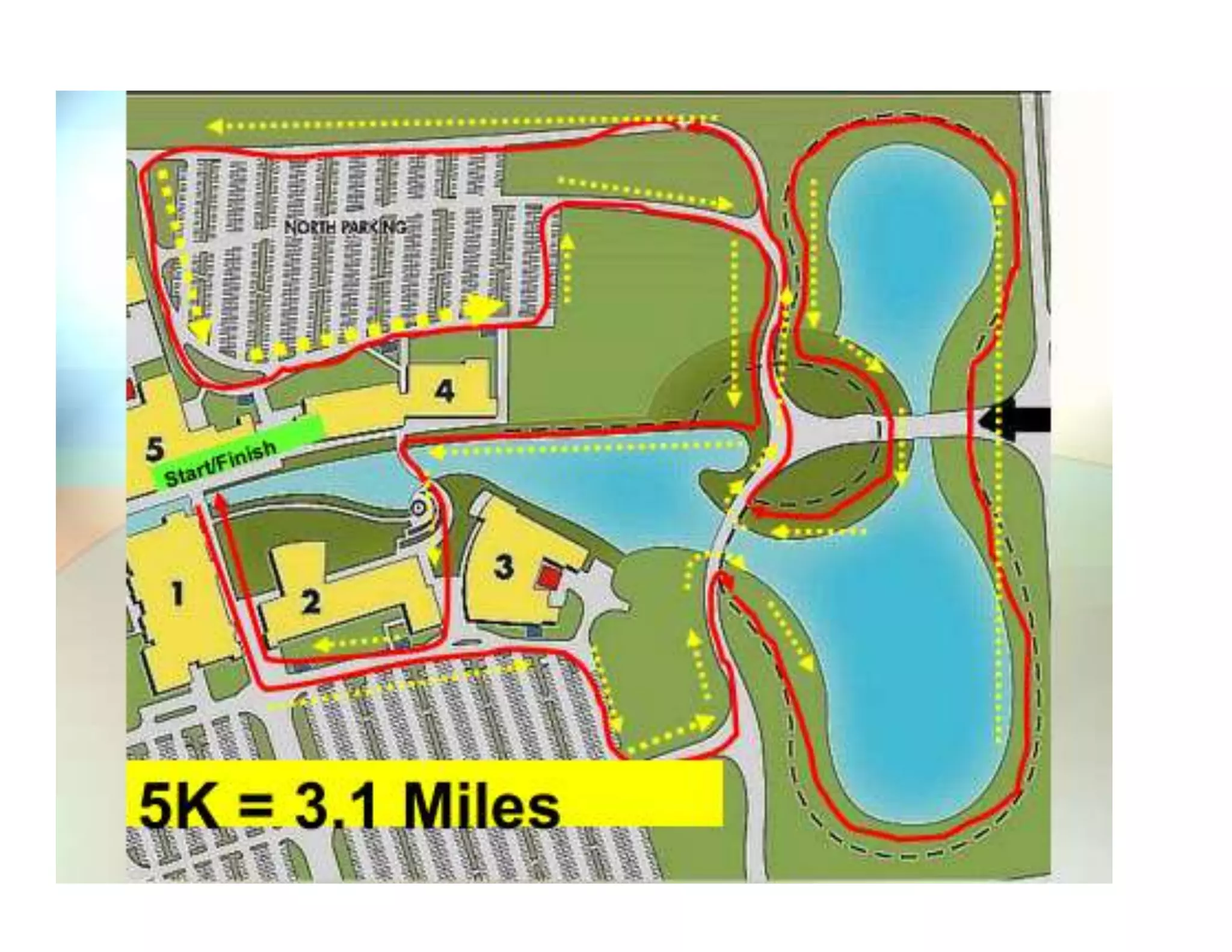 Short version of tim sebesta