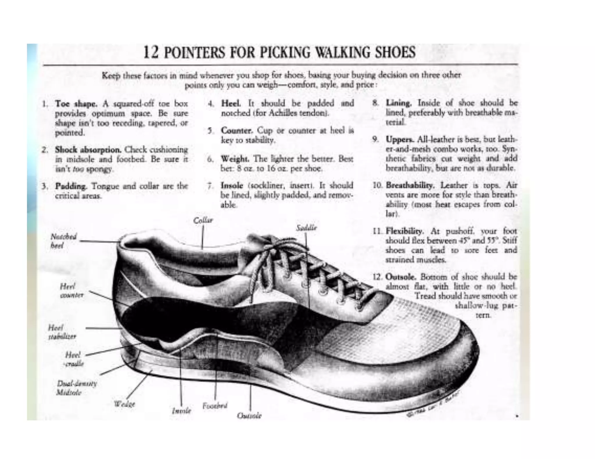 Short version of tim sebesta