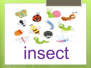 Vowel Ii Insect Short vowel sounds | PPTX