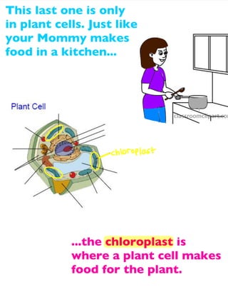 This last one is only
in plant cells. Just like
your Mommy makes
food in a kitchen...

...the chloroplast is
where a plant cell makes
food for the plant.

 