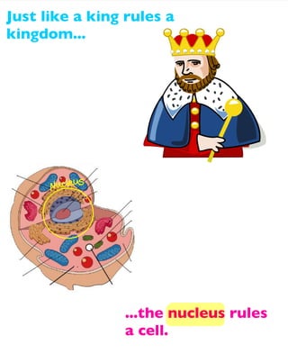 Just like a king rules a
kingdom...

...the nucleus rules
a cell.

 