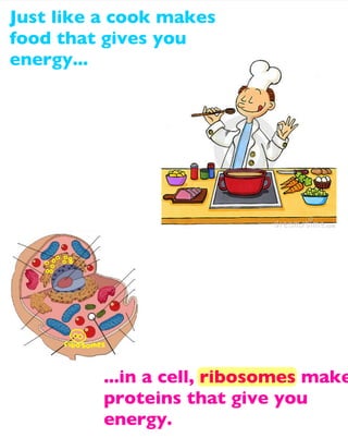 Just like a cook makes
food that gives you
energy...

...in a cell, ribosomes make
proteins that give you
energy.

 