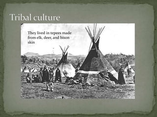 They lived in tepees made
from elk, deer, and bison
skin
 