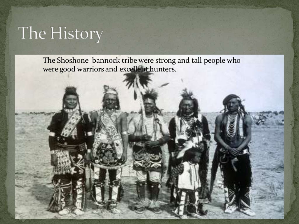 Shoshone and bannock tribes 1