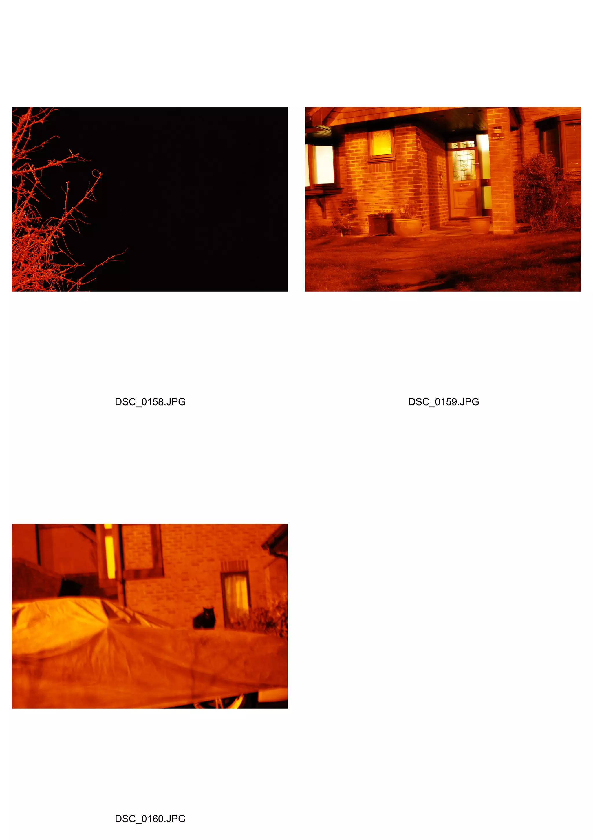 DSC_0158.JPG DSC_0159.JPG
DSC_0160.JPG