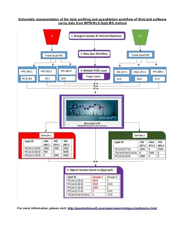 automated data analysis