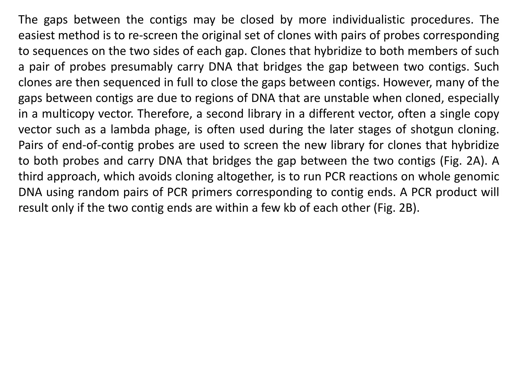 The gaps between the contigs may be closed by more individualistic procedures. The
easiest method is to re-screen the original set of clones with pairs of probes corresponding
to sequences on the two sides of each gap. Clones that hybridize to both members of such
a pair of probes presumably carry DNA that bridges the gap between two contigs. Such
clones are then sequenced in full to close the gaps between contigs. However, many of the
gaps between contigs are due to regions of DNA that are unstable when cloned, especially
in a multicopy vector. Therefore, a second library in a different vector, often a single copy
vector such as a lambda phage, is often used during the later stages of shotgun cloning.
Pairs of end-of-contig probes are used to screen the new library for clones that hybridize
to both probes and carry DNA that bridges the gap between the two contigs (Fig. 2A). A
third approach, which avoids cloning altogether, is to run PCR reactions on whole genomic
DNA using random pairs of PCR primers corresponding to contig ends. A PCR product will
result only if the two contig ends are within a few kb of each other (Fig. 2B).
 