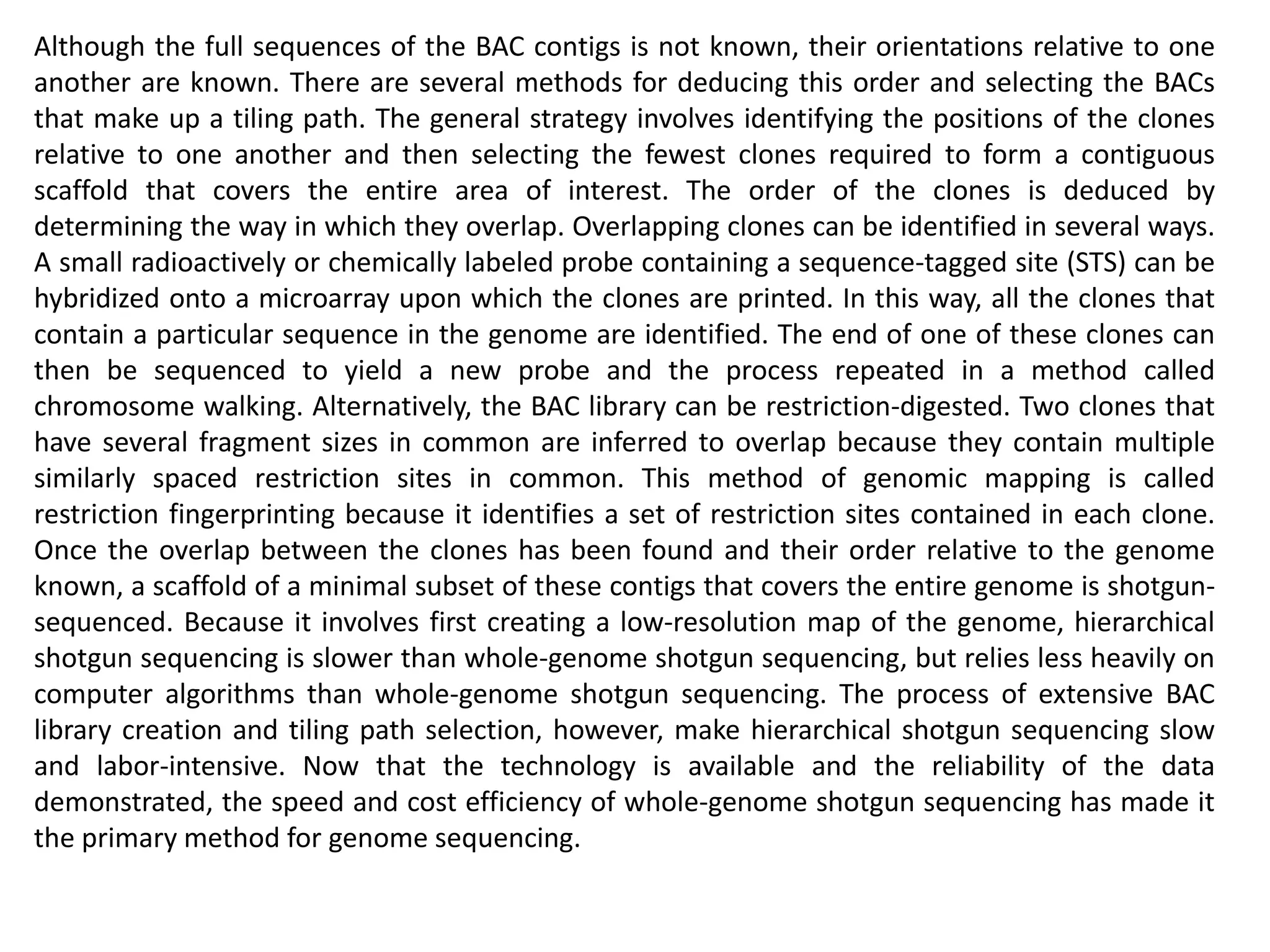 Although the full sequences of the BAC contigs is not known, their orientations relative to one
another are known. There are several methods for deducing this order and selecting the BACs
that make up a tiling path. The general strategy involves identifying the positions of the clones
relative to one another and then selecting the fewest clones required to form a contiguous
scaffold that covers the entire area of interest. The order of the clones is deduced by
determining the way in which they overlap. Overlapping clones can be identified in several ways.
A small radioactively or chemically labeled probe containing a sequence-tagged site (STS) can be
hybridized onto a microarray upon which the clones are printed. In this way, all the clones that
contain a particular sequence in the genome are identified. The end of one of these clones can
then be sequenced to yield a new probe and the process repeated in a method called
chromosome walking. Alternatively, the BAC library can be restriction-digested. Two clones that
have several fragment sizes in common are inferred to overlap because they contain multiple
similarly spaced restriction sites in common. This method of genomic mapping is called
restriction fingerprinting because it identifies a set of restriction sites contained in each clone.
Once the overlap between the clones has been found and their order relative to the genome
known, a scaffold of a minimal subset of these contigs that covers the entire genome is shotgun-
sequenced. Because it involves first creating a low-resolution map of the genome, hierarchical
shotgun sequencing is slower than whole-genome shotgun sequencing, but relies less heavily on
computer algorithms than whole-genome shotgun sequencing. The process of extensive BAC
library creation and tiling path selection, however, make hierarchical shotgun sequencing slow
and labor-intensive. Now that the technology is available and the reliability of the data
demonstrated, the speed and cost efficiency of whole-genome shotgun sequencing has made it
the primary method for genome sequencing.
 